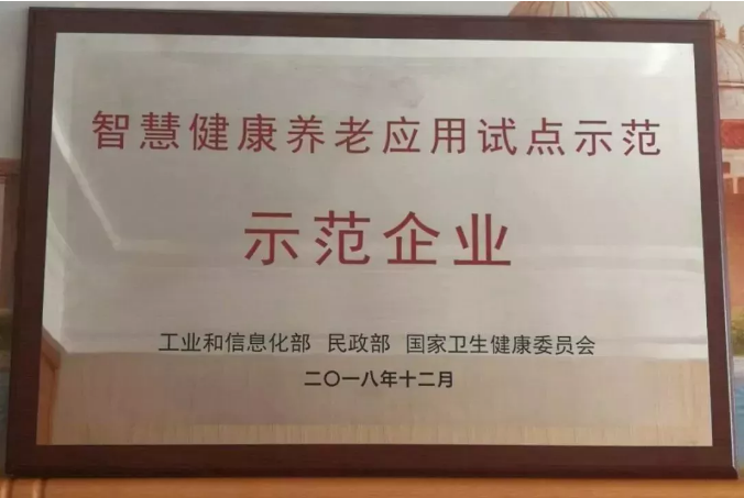 ”軟神股份“作(zuò)為(wèi)國(guó)家(jiā)第二批智慧健康試點示範企業(yè)在人(rén)民(mín)大(dà)會(huì)堂接受授牌!